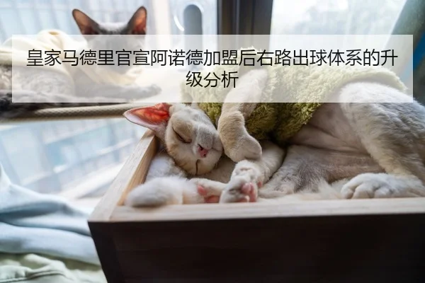 皇家马德里官宣阿诺德加盟后右路出球体系的升级分析