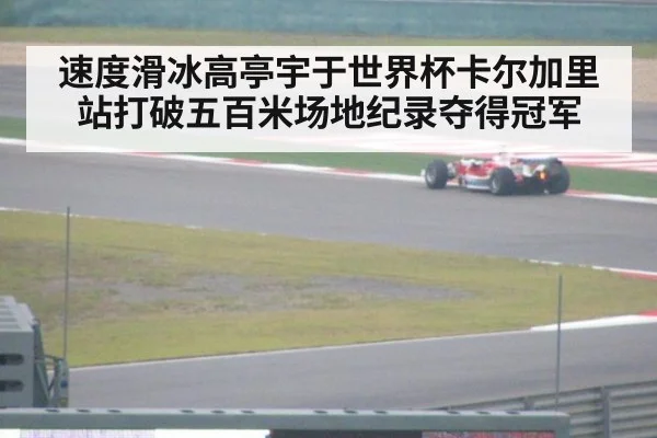 速度滑冰高亭宇于世界杯卡尔加里站打破五百米场地纪录夺得冠军